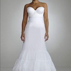 David’s Bridal Slip and Blusher